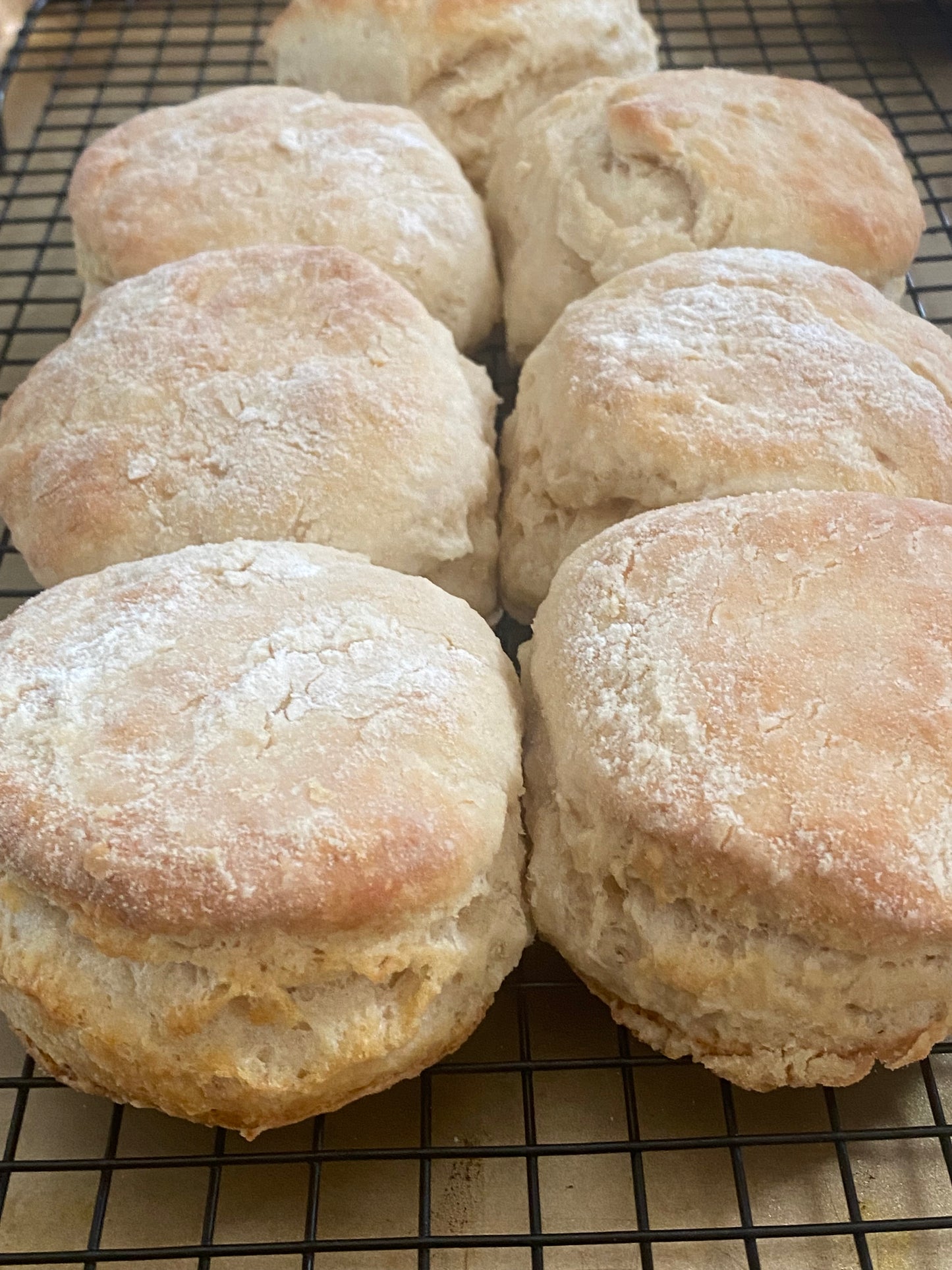 Organic Sourdough ButtermilkBiscuits “southern-style”