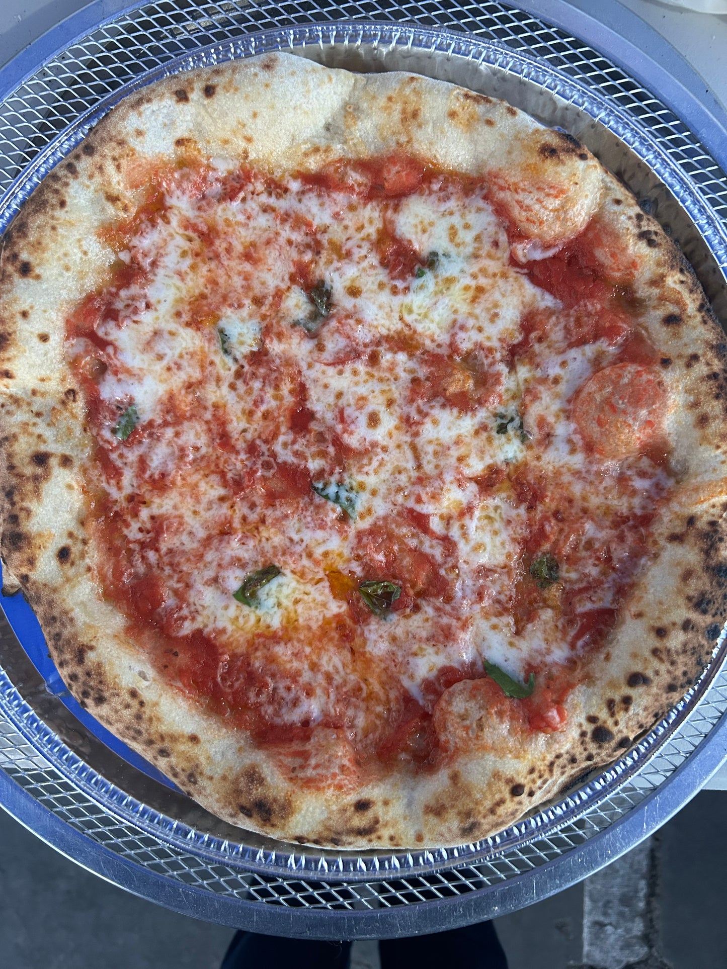 Margherita Pizza