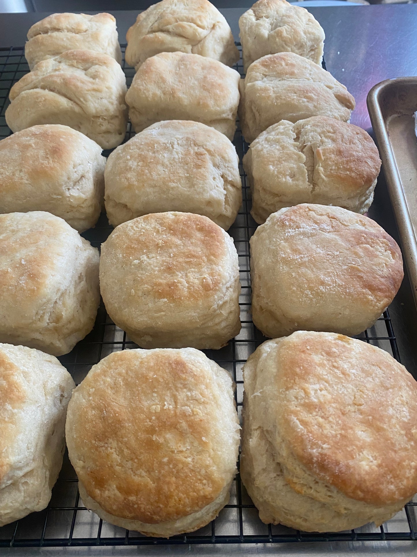 Organic Sourdough ButtermilkBiscuits “southern-style”