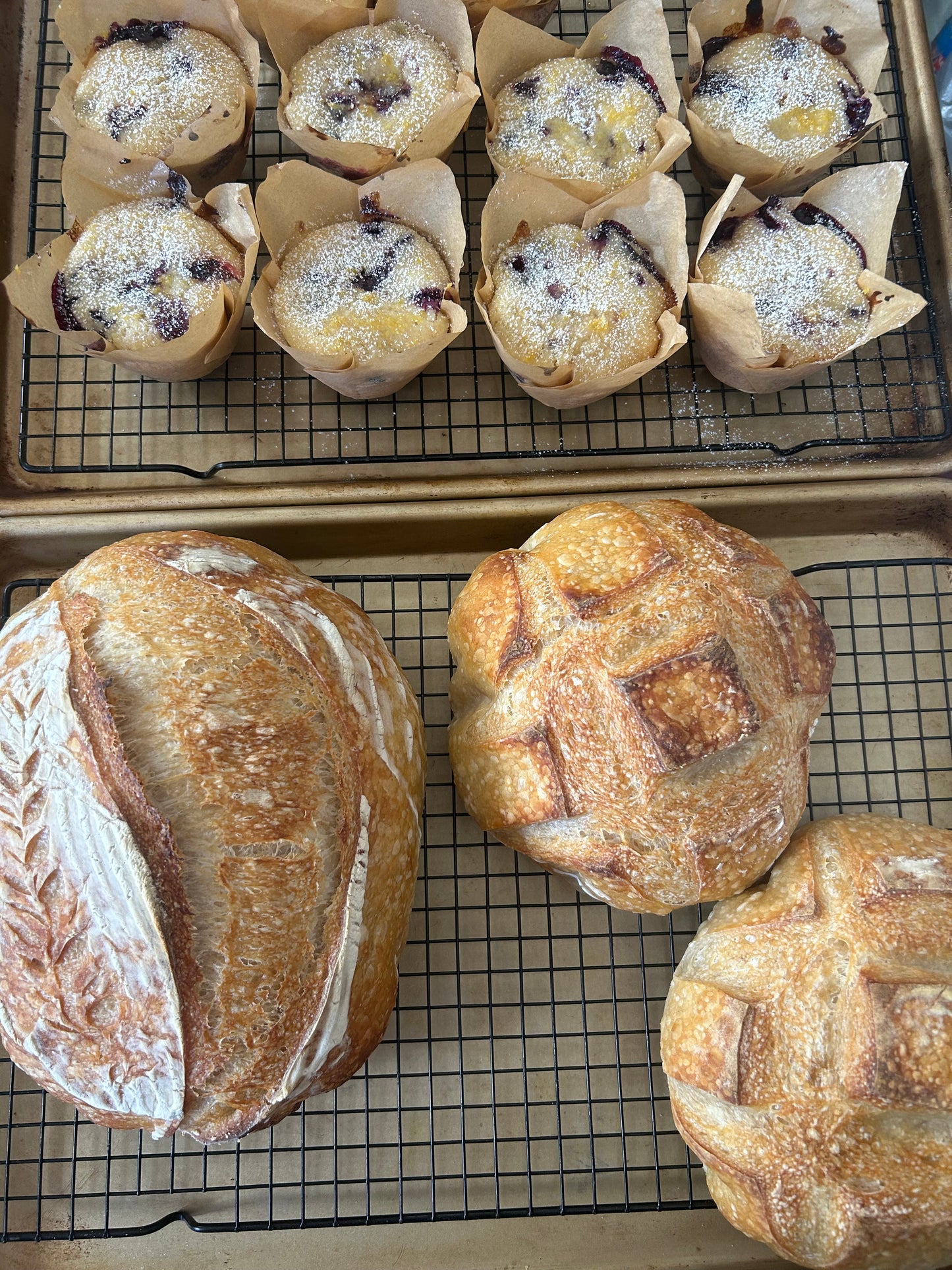 Boule'
