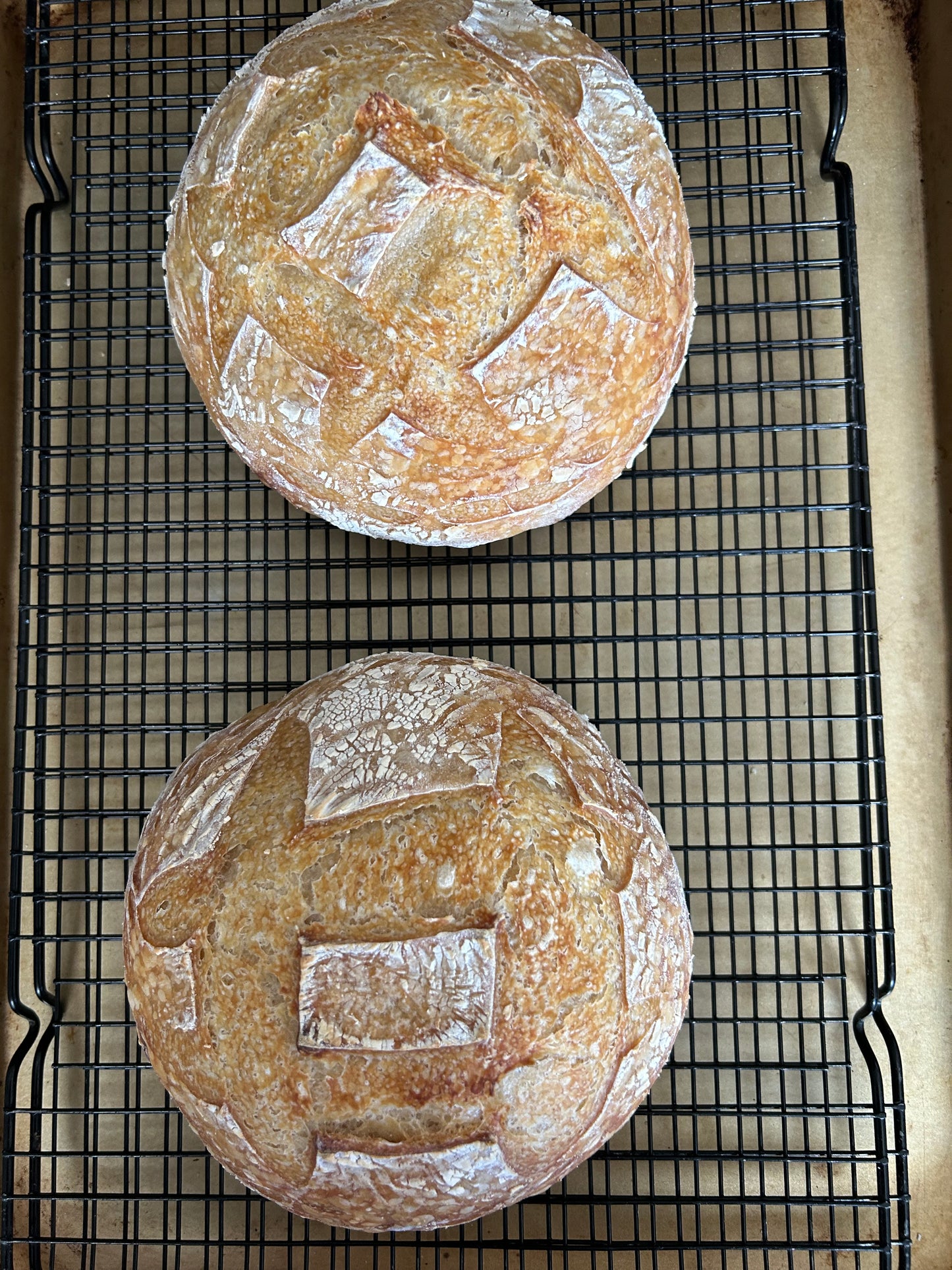 Boule'