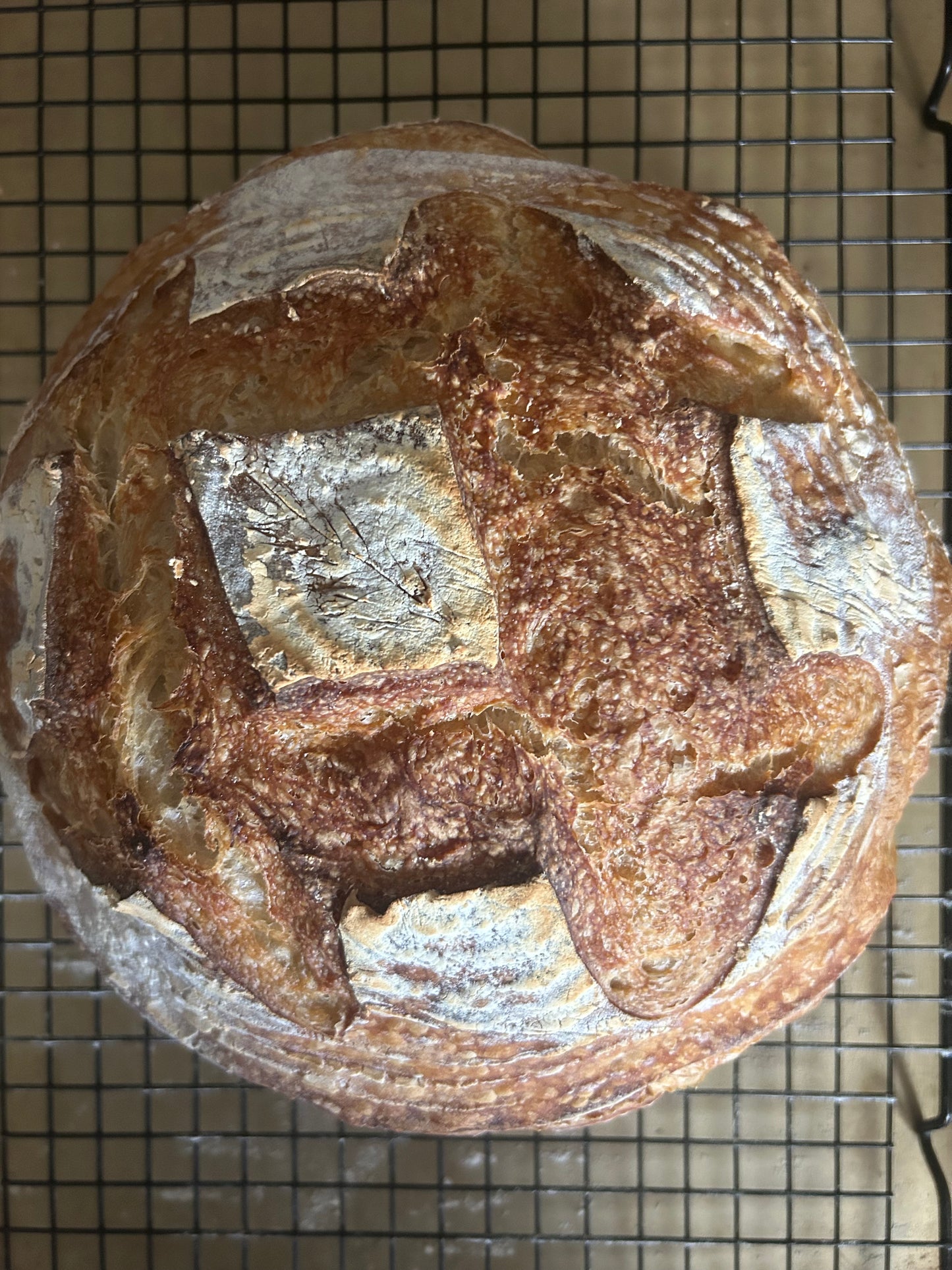 Large Boule’
