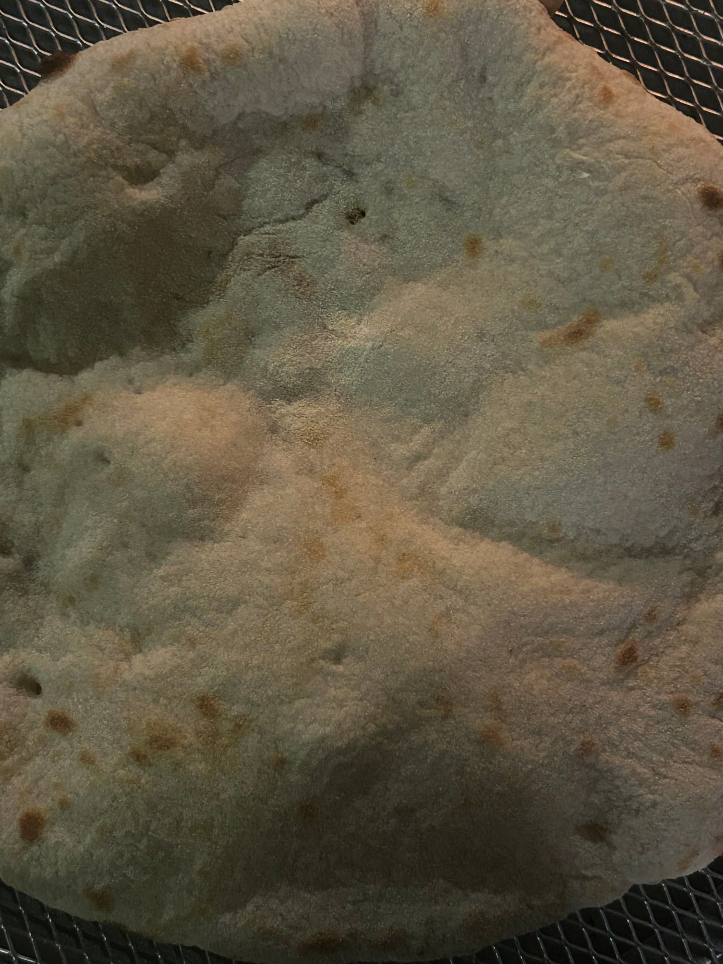 Neapolitan Par-baked Crusts